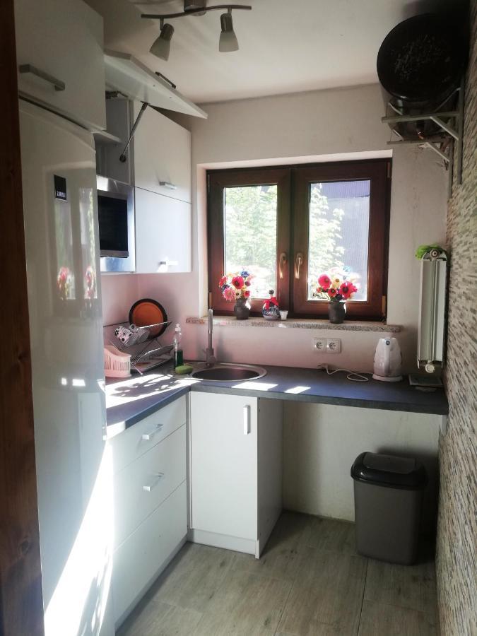 Pokoje Goscinne U Babuni Bukowina Tatrzanska Exterior photo